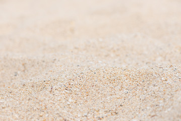 Fototapeta na wymiar Beach sand background
