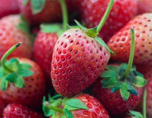 Red strawberries macro background