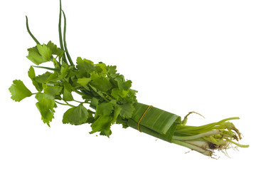 Celery and Spring