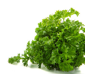 bunch of parsley