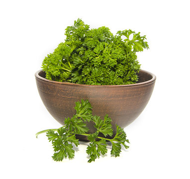 bunch of parsley in ceramic bowl