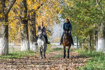 horse ride