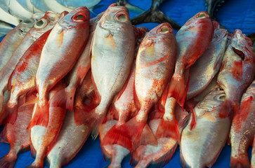 Fish market
