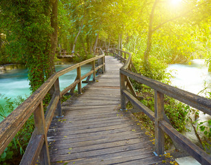 Obraz premium Boardwalk in the park