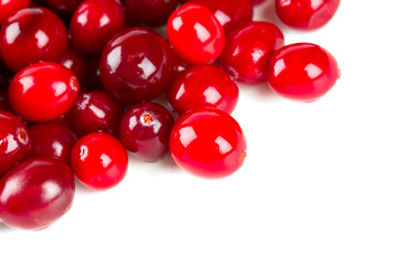 Cranberry isolated