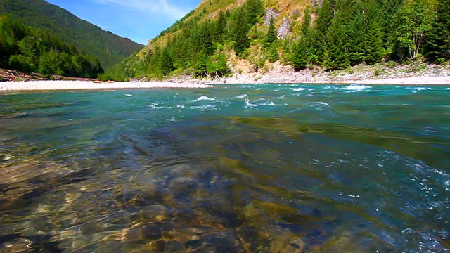 Flathead River Rapids Montana