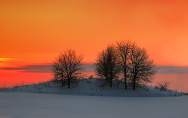 Beautiful red sunset over snowy field with trees
