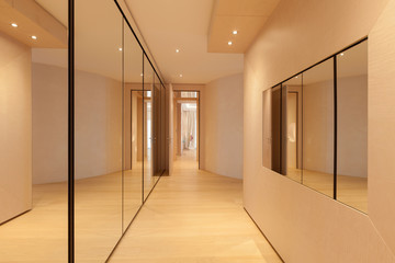 Modern luxury apartment: hallway