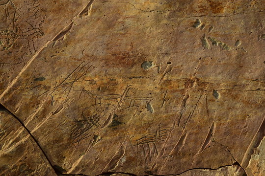 Anadolu&rsquo;da T&uuml;rk İzleri