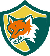 Red Fox Angry Head Shield Retro