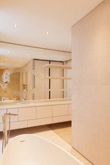 Luxury and minimal bathroom interior