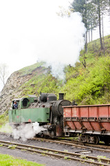 Fototapeta na wymiar steam freight train, delivery point in Oskova, Bosnia and Herceg