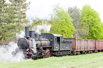 Fototapeta na wymiar steam freight train (126.014), Resavica, Serbia