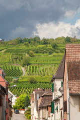 Vignoble vu du centre ville, Rouffach, Alsace, Haut Rhin
