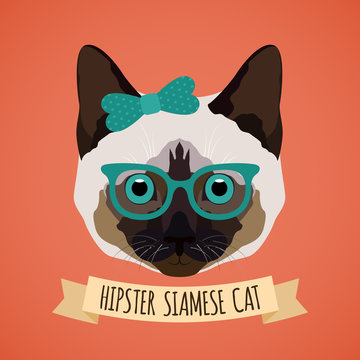 Hipster cat portrait