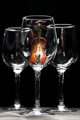 Violin in wine glass - 72973255