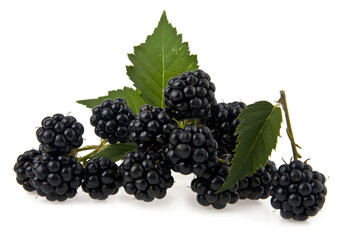 blackberry