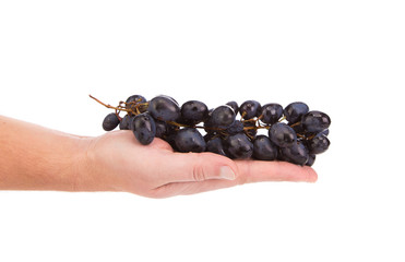 Black grapes in hand.