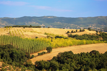Fototapeta na wymiar Cultivated fields and orchards, Greece