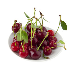cherry
