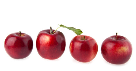 apples