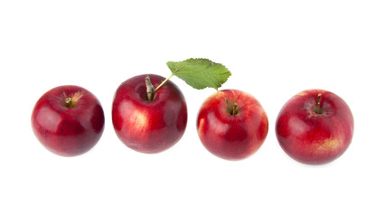 apples