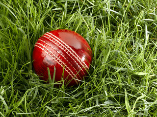 Cricket Ball