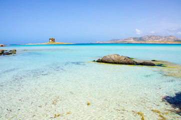 Beautiful coast of sardinia - La Pelosa, Stintino