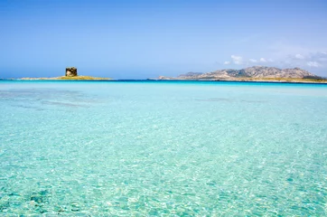 Foto auf Acrylglas Strand La Pelosa, Sardinien, Italien Schöne Küste von Sardinien - La Pelosa, Stintino