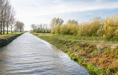 Canal in the fall season