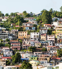 Fototapeta premium Colorful Homes and Hotels on Martinique Coast