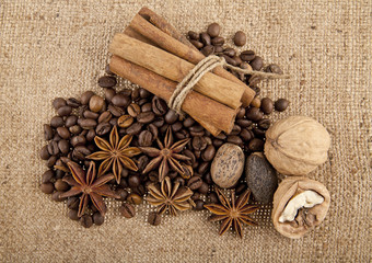 grains of coffee and seasoning