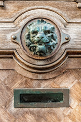 lion knocker