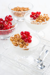 creamy panna cotta with berries and granola, vertical