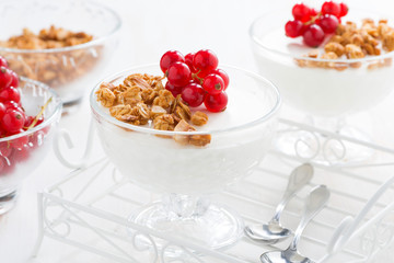 creamy panna cotta with berries and granola