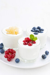 dietary product - assortment yogurt with fresh berries, vertical