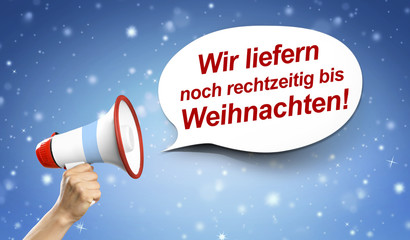 Wir liefern noch rechtzeitig bis Weihnachten