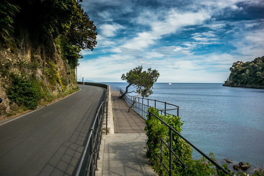 Scenic Road