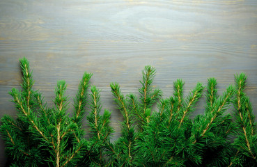 Christmas tree border