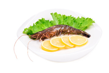 Delicious fresh shrimp