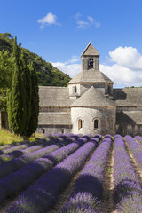 Abbey of Senanque and lavender field. France.