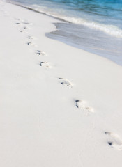 Footsteps on the sand of the Kuramathi beach