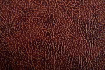 brown background