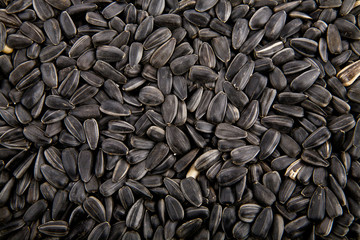 sunflower seeds