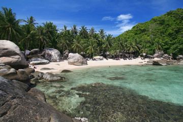 Landscape | tropical beach | vacationing relaxation