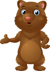 Cute baby brown bear