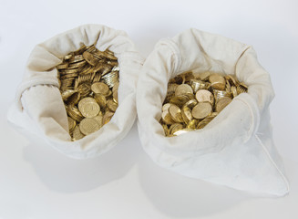 Bags of coins on white background