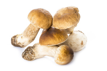 Boletus edulis, hongos frescos aislados sobre fondo blanco
