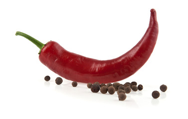 Fototapeta premium pepper
