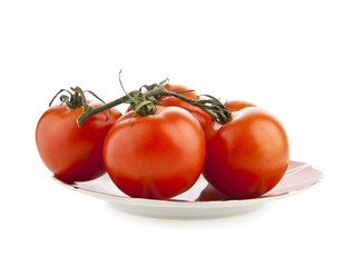 tomatoes